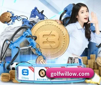 规模扩大 - 用户数量爆发式增长,与多家国际知名内容服务商达成深度合作。